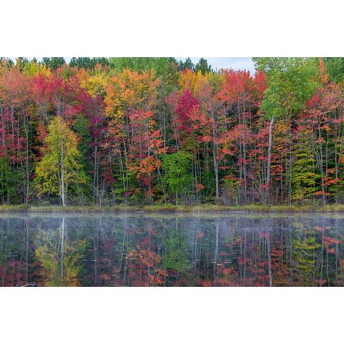 Thornton Lake in fall color-Alger County-Michigan